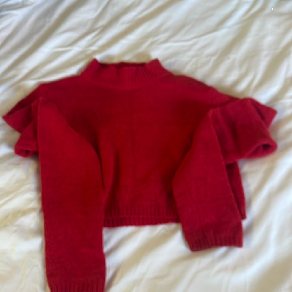 Xs Wild Fable red crop sweater